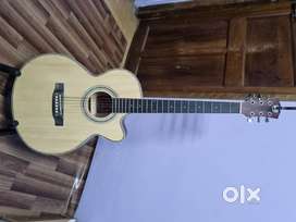 Techno acoustic guitar