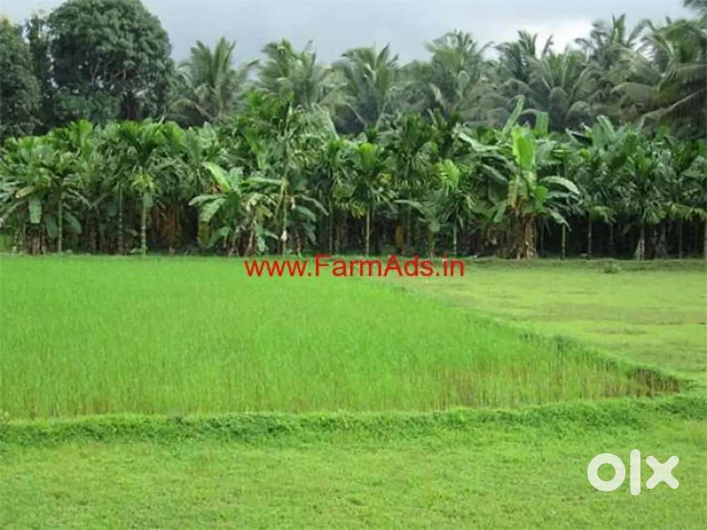 Location -Bbsr Nayagarh Dhenkanal puri all odisha