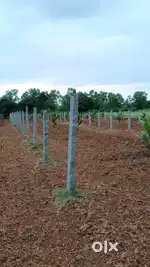 Good condition in 200 peace