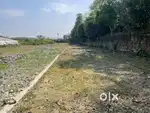Plot For sale
