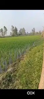 Lam Amata thadok chage nambol bazer manak ta ni