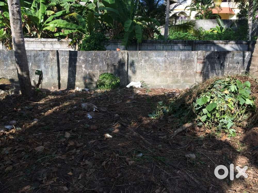 6.45 cents house plot