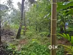 28 cents for sale near Kodaly town (Kodagara -Vellikulangara route)