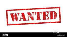 Req urgent smart female personal secretary travel