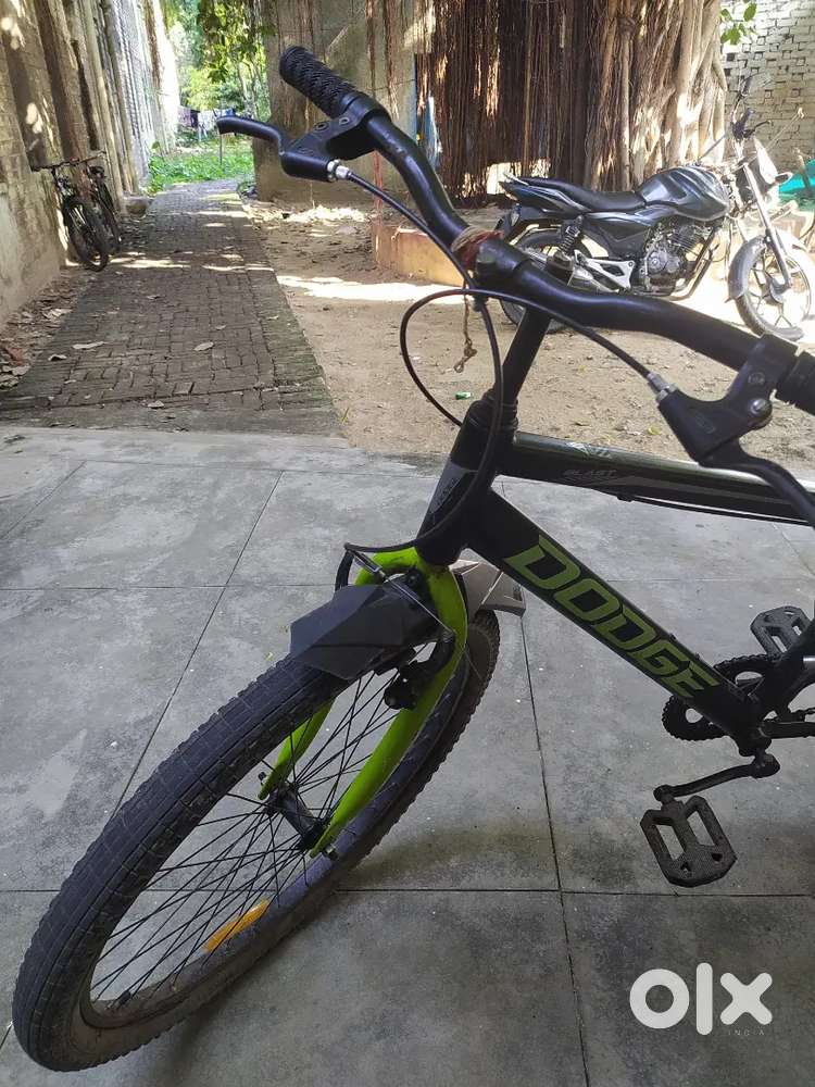 1 year old cycle