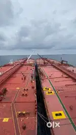 DIRECT SHIPPING COMPANY OPENINGS