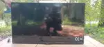 LG TV 43 inches and LG speaker with home theatre and DVD operator