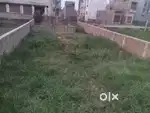 Rental propose