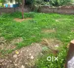 Plot Sell morge vasti Shrirampur