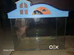 Good quality Aquarium cost is starting cost/fish tank/accessories