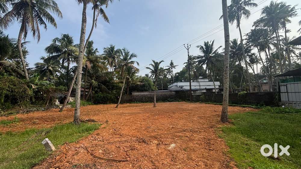 50 cent plot for sale and 5 cent each