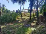 5 cents land close to bus root kumpala thokottu Mangalore Karnataka