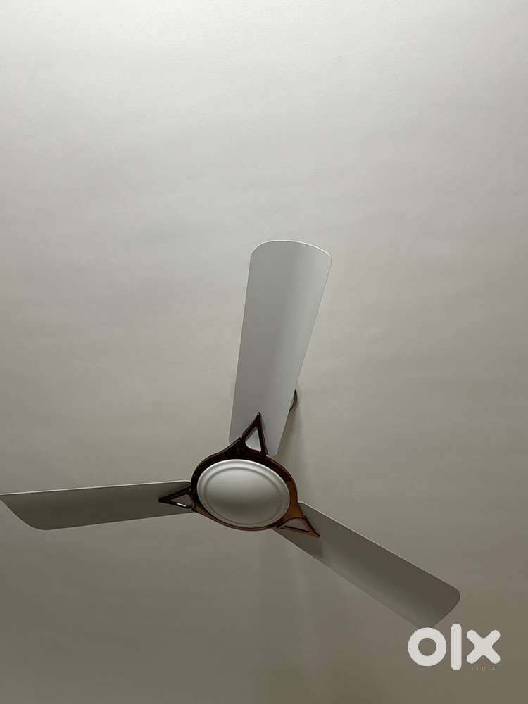 Celiing fan for sale two numbers