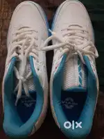 Cricket shoes