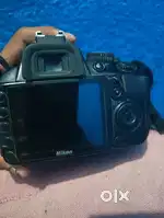 D3100 available