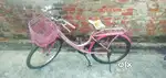 Kross lady bird cycle