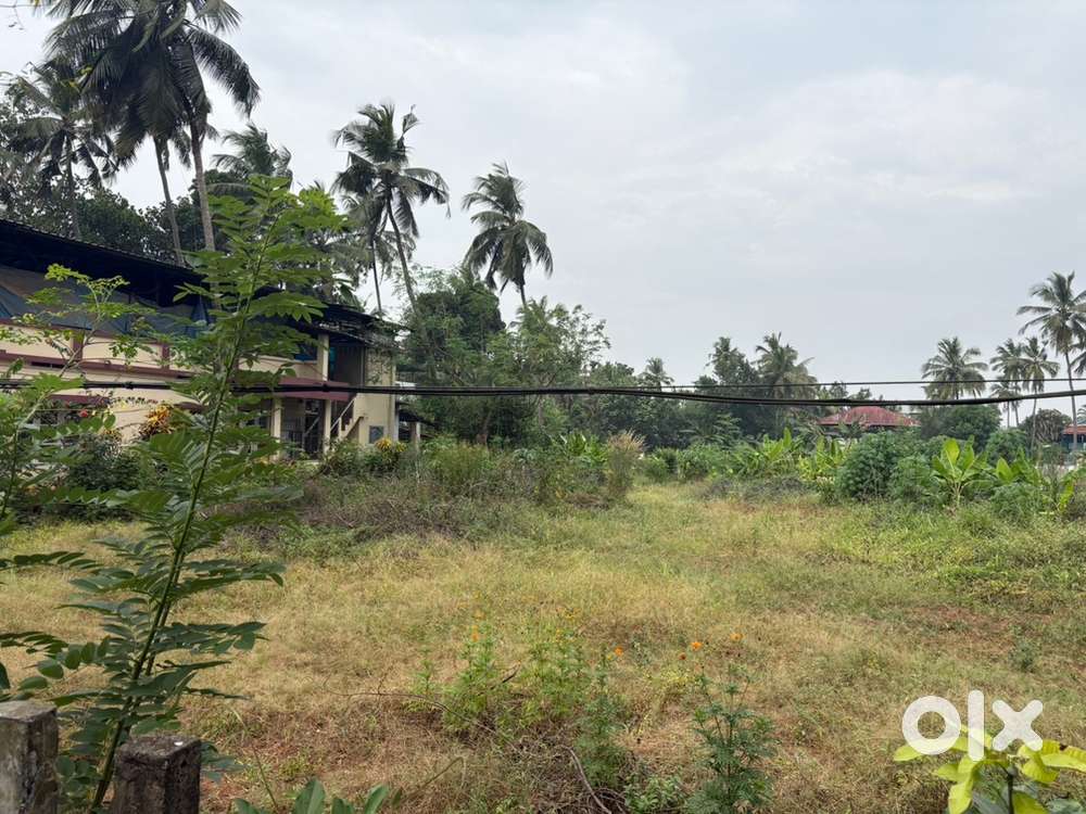 77cent plot for sale in in Kachery,Nellikunnu