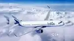 Airport Ground staff jobs in Indigo Airlines urgent hiring Apply Fast