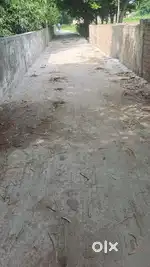 Plot for sale near vikas vidyalaya ( school) per katha rate