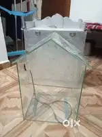 Mirror temple