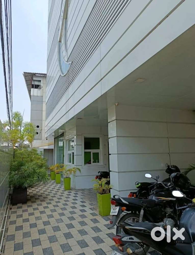 Business Development Executive( Male)