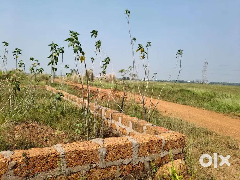 Plot for sale near Allms hospital back side