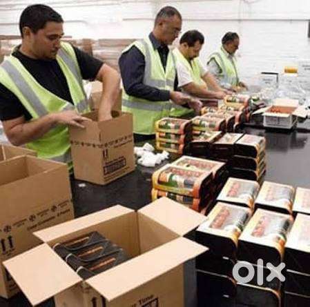 Required 3 packing staff cum store helper