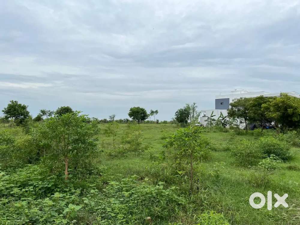 Housing plot available near by Namakkal new bus stand