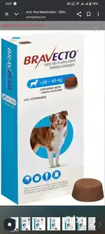Pet bravecto tablets  dogs
