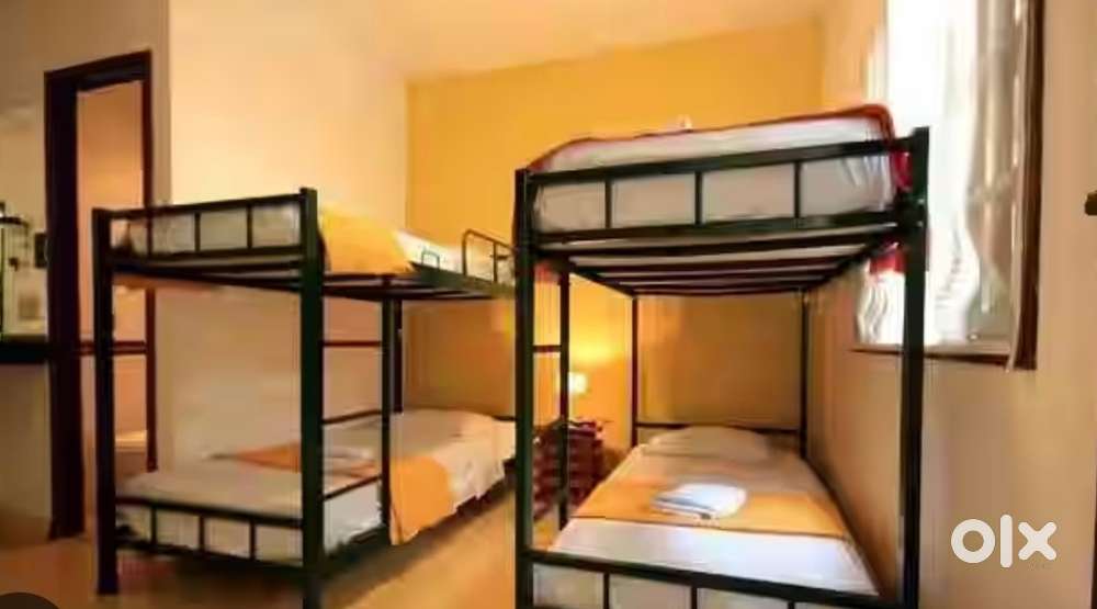Paying guest accommodation (ladies)