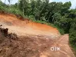 Kollam Kottarakkara Muttara Near GVHSS&HSS School 15 cent