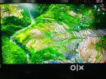 Gaming Monitor