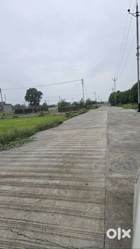 in bilaspur city available plot at gulab nagar colony