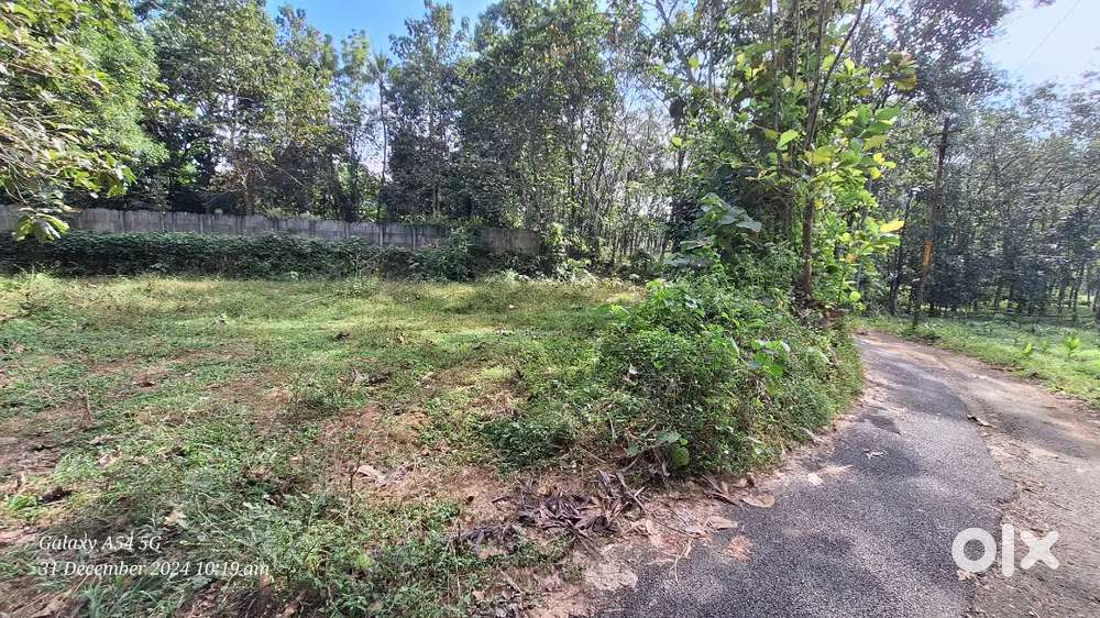 6Cent plot .building permit available .panchayathu road front