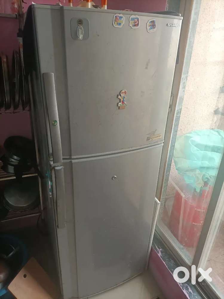 Double Door Fridge