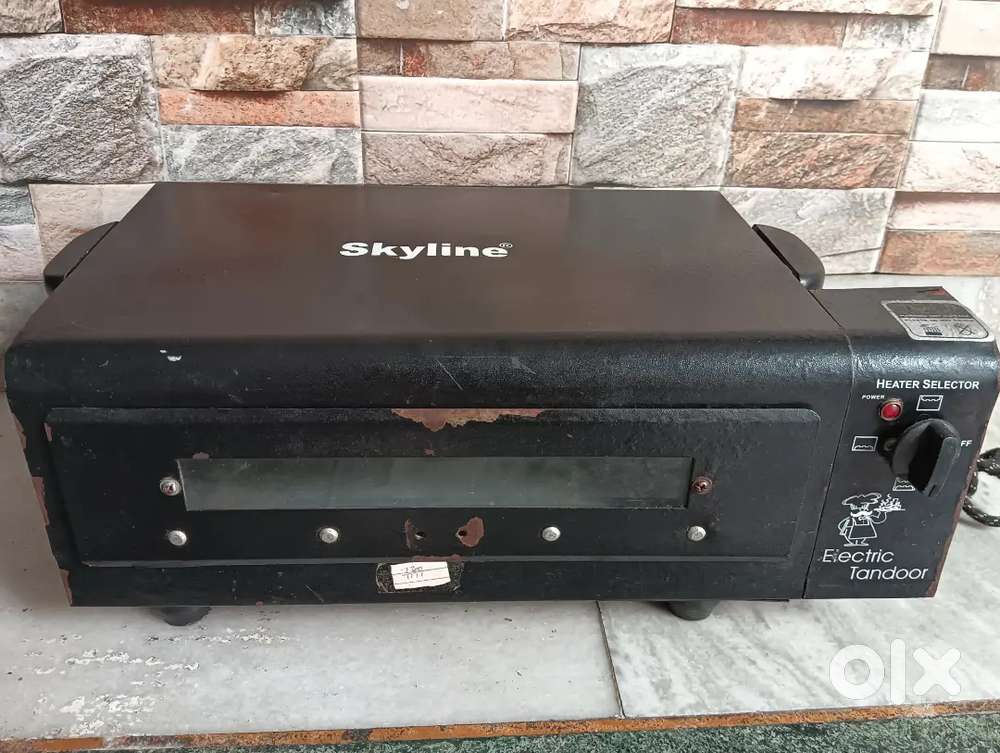 Skyline electric tandoor