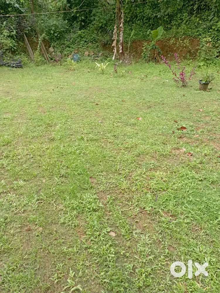 HOUSE PLOT FOR SALE 14 cent