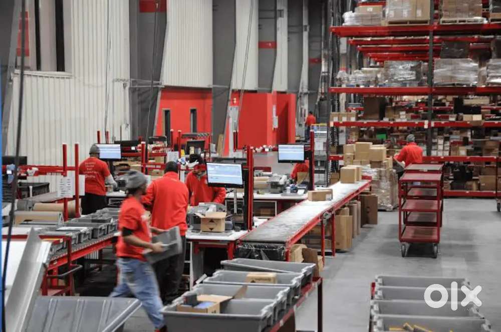 WARE HOUSE PACKING, HELPER,SCANNING JOB IN LUCKNOW LOCATION!