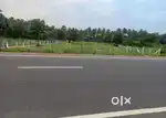 Commerical land & Agriculture land sale in near vadipatti madurai