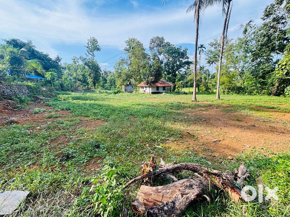 24 Cent road frontage plot for sale in Piravom