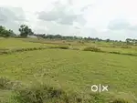 Sell a land rejisterd plot galudih
