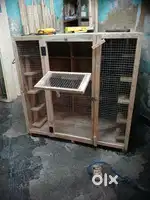 Birds cagesaa