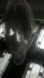 1 one years old fan