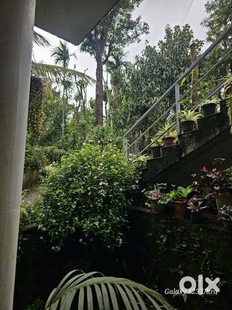 Family friendly house for rent. Wifi , car parking, etc...