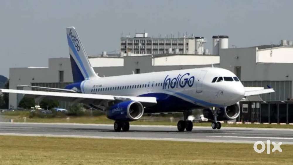 Cabin Crew/Airticket Airport Ground Staff Jobs in Indigo Airlines Jobs