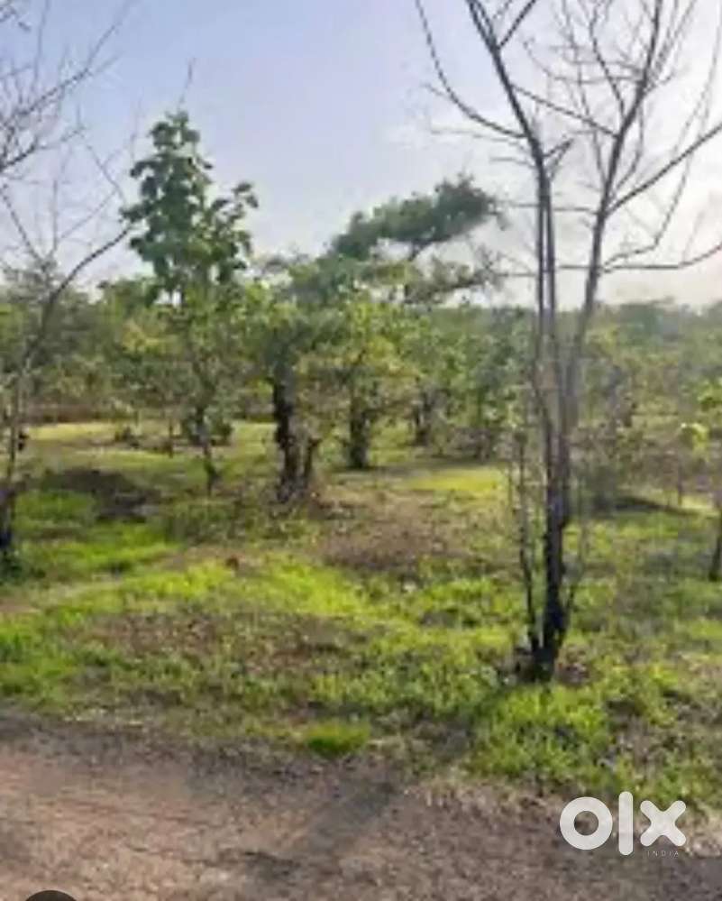 Donapaula 4000m2 premium plot  for sale Clear title
