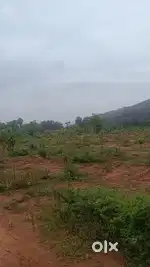 Near narsipatnam