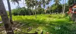 10 cents land for sale