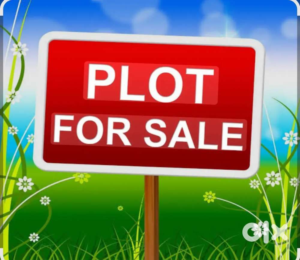 100 gaj plot for sale 25.90