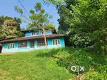 1 ACER LAND WITH TRADITIONAL ILLAM FOR SALE@ WAYANAD
